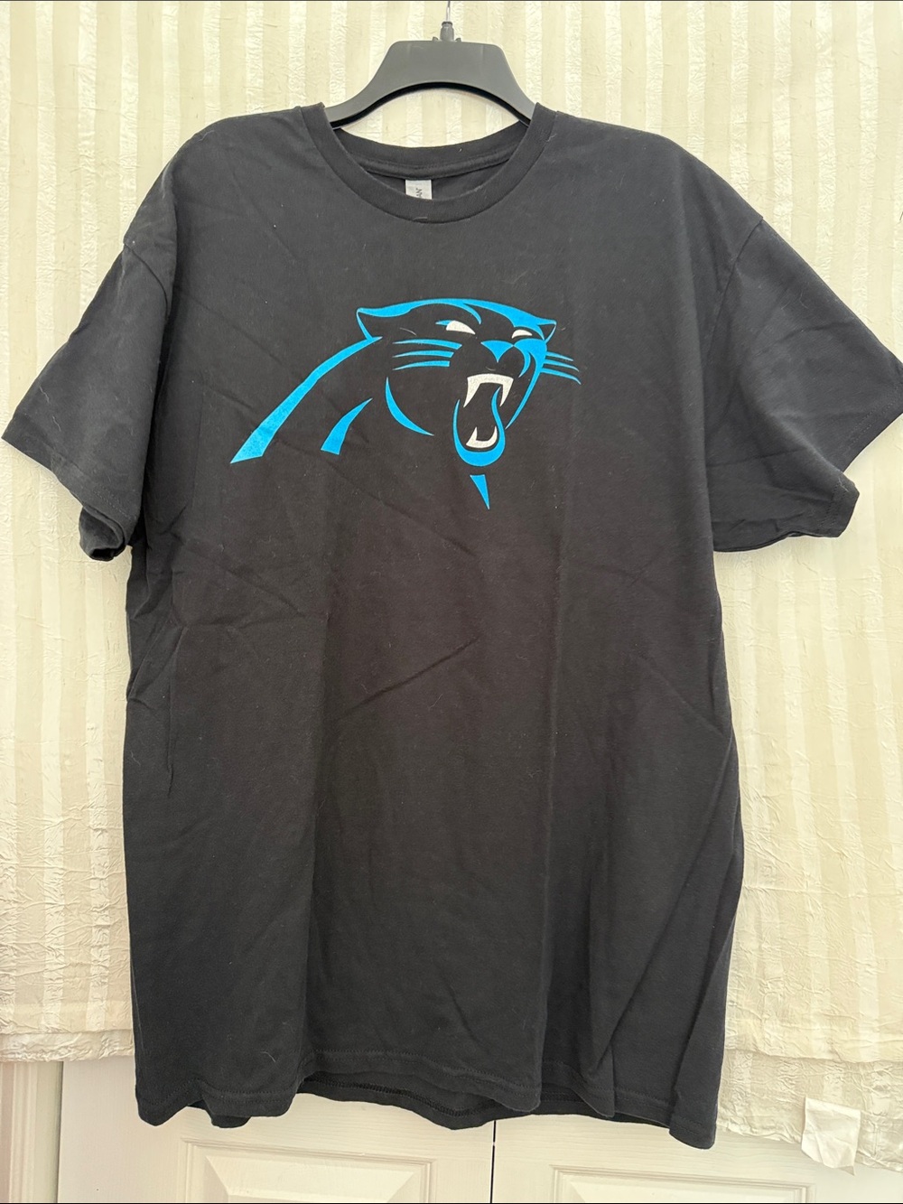 Gildan Black Men's Tee with Bright Teal Panther Graphic